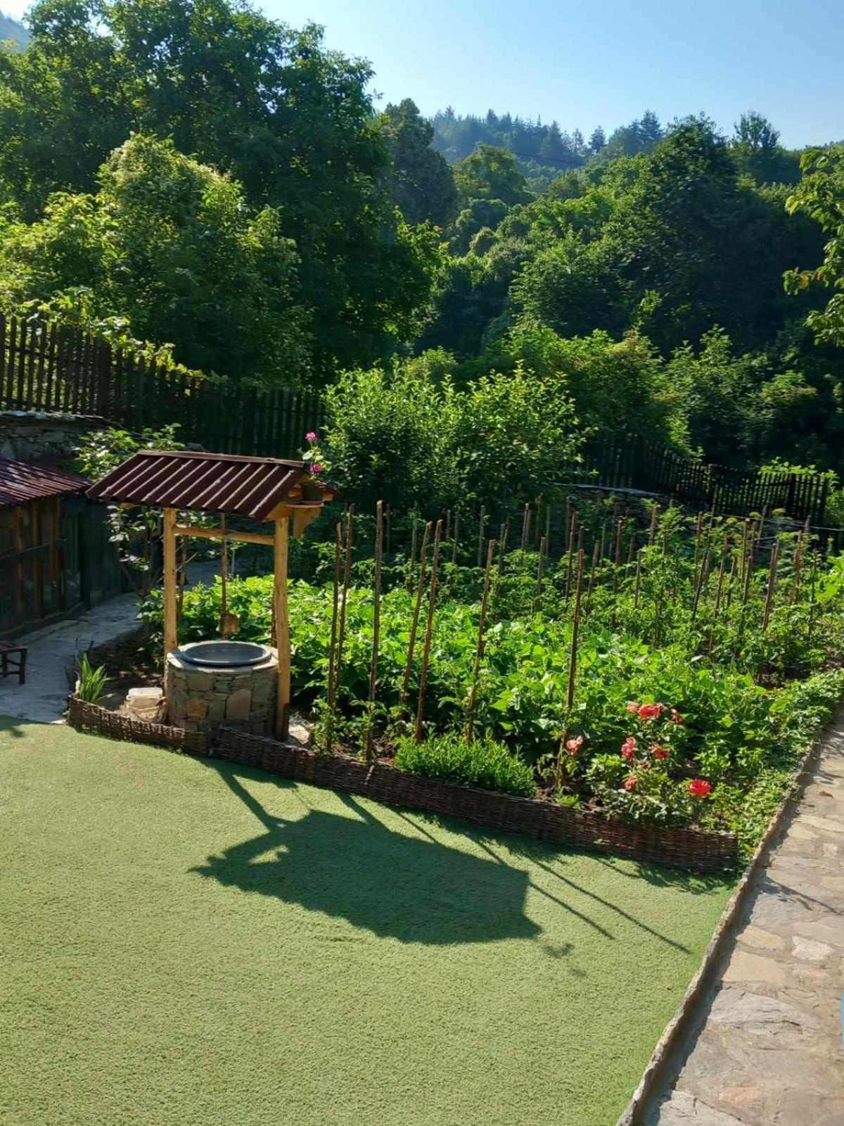 Тодорината Къща Hotel Lesten Kültér fotó